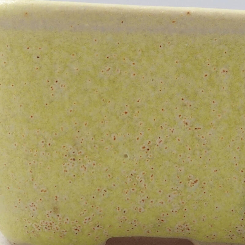 Mini-Bonsaischale 4 x 3,5 x 2 cm, gelb