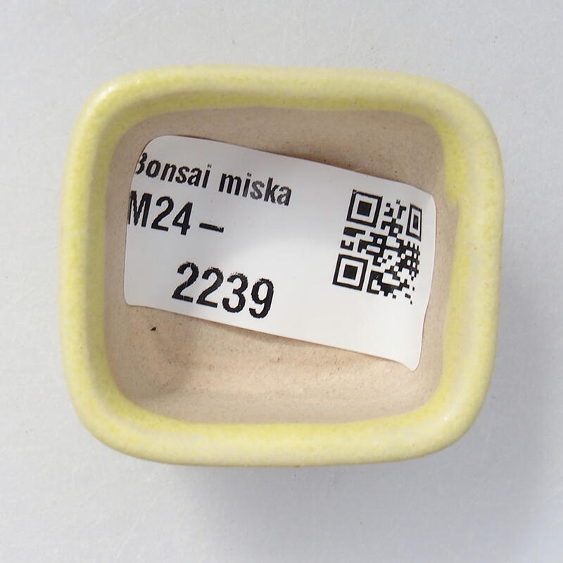 Mini-Bonsaischale 4 x 3,5 x 2 cm, gelb
