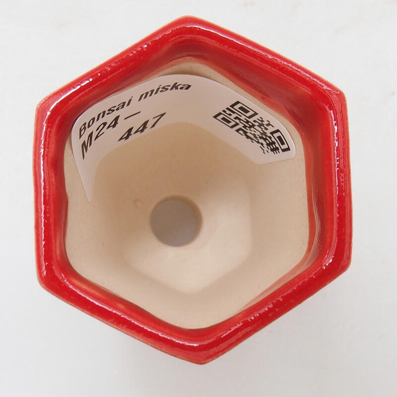 Mini-Bonsaischale 4 x 3,5 x 6 cm, Farbe rot