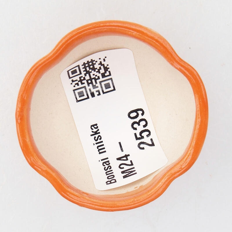 Mini-Bonsaischale 4 x 4 x 2,5 cm, orange