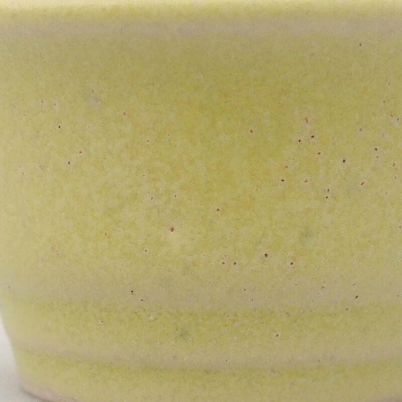 Mini-Bonsaischale 4 x 4 x 2,5 cm, grün