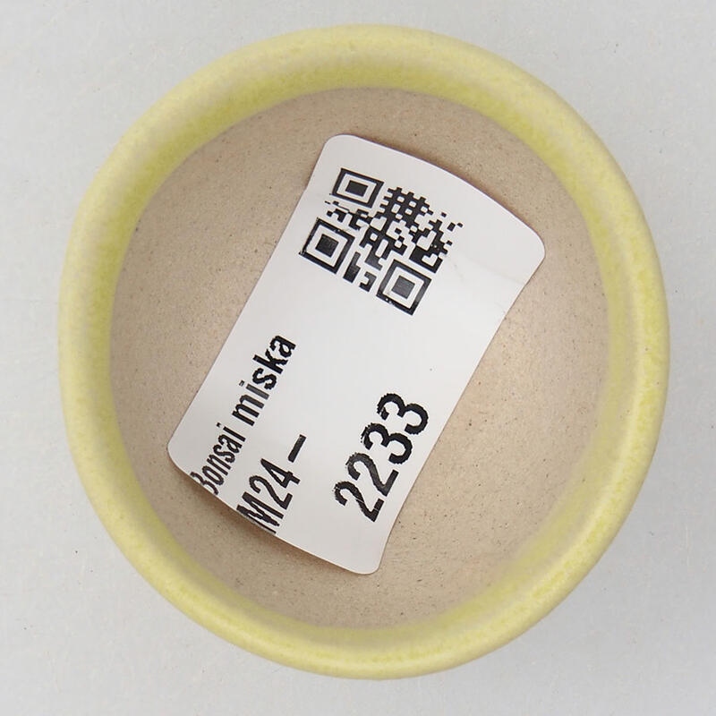 Mini-Bonsaischale 4 x 4 x 2 cm, gelb