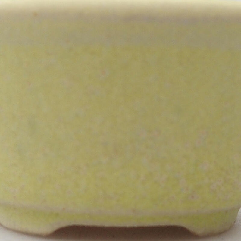 Mini-Bonsaischale 4 x 4 x 2 cm, gelb