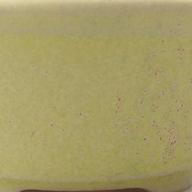 Mini-Bonsaischale 4 x 4 x 2 cm, gelb