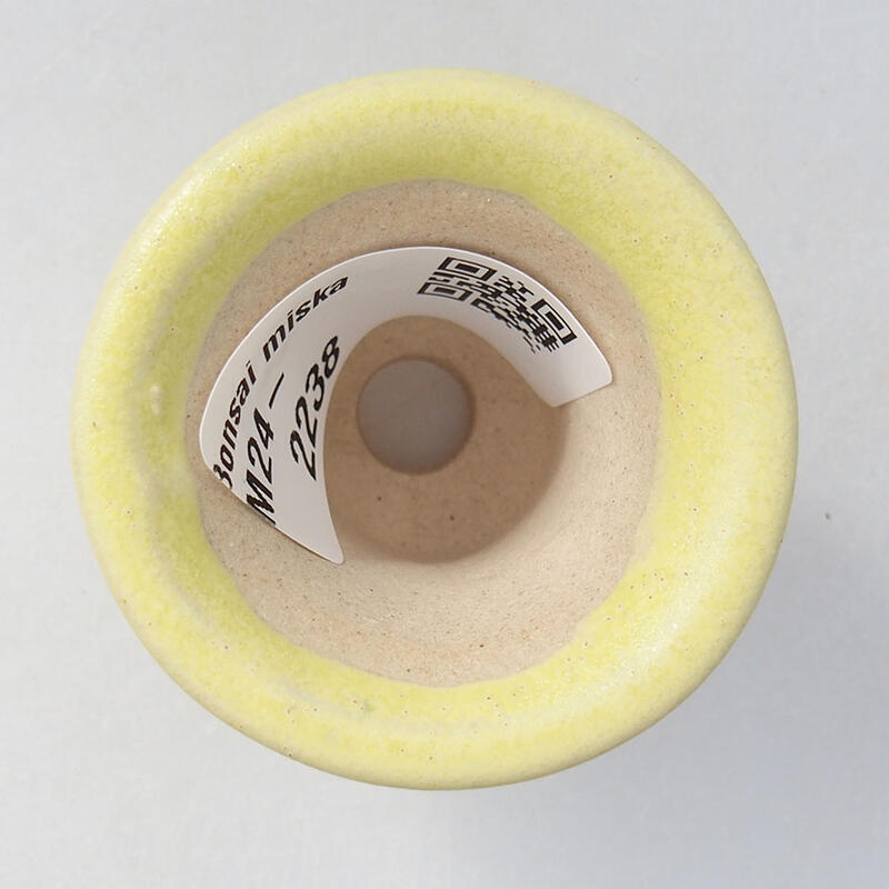 Mini-Bonsaischale 4 x 4 x 3,5 cm, gelb