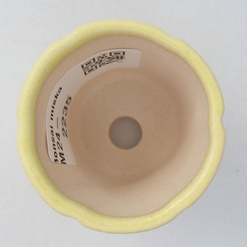 Mini-Bonsaischale 4 x 4 x 4 cm, gelb