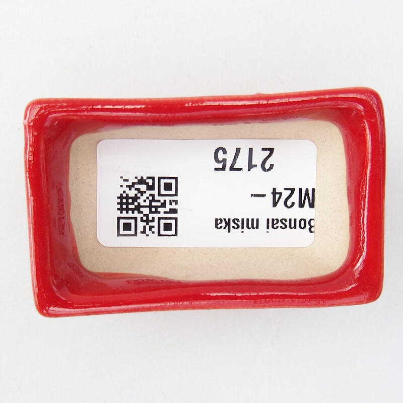 Mini-Bonsaischale 5,5 x 3 x 1,5 cm, Farbe rot