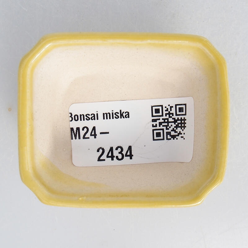 Mini-Bonsaischale 5,5 x 4,5 x 2 cm, gelb