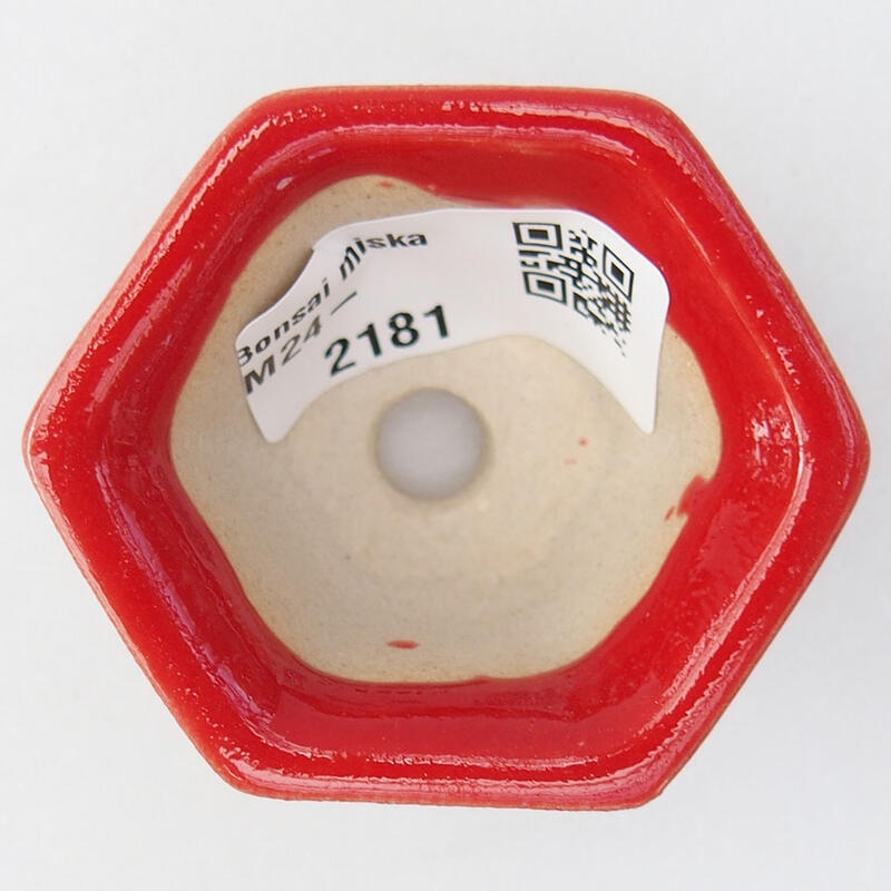 Mini-Bonsaischale 5,5 x 4,5 x 3 cm, Farbe rot