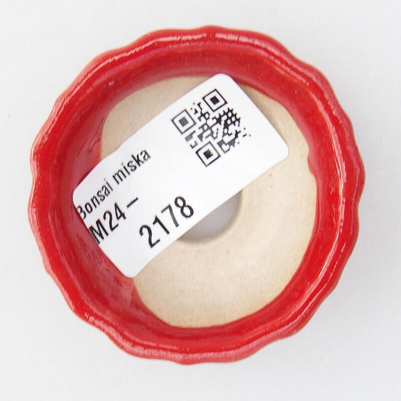 Mini-Bonsaischale 5,5 x 5,5 x 2 cm, Farbe rot