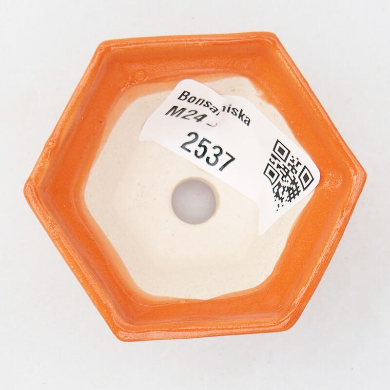 Mini-Bonsaischale 5,5 x 5 x 3 cm, orange