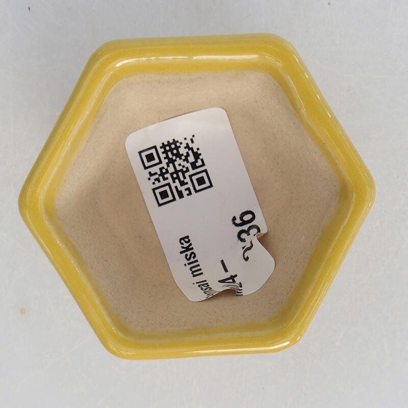 Mini-Bonsaischale 5,5 x 5 x 3 cm, gelb