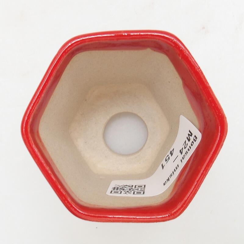 Mini-Bonsaischale 5,5 x 5 x 5 cm, Farbe rot