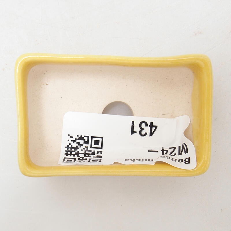 Mini-Bonsaischale 5 x 3 x 2 cm, gelb