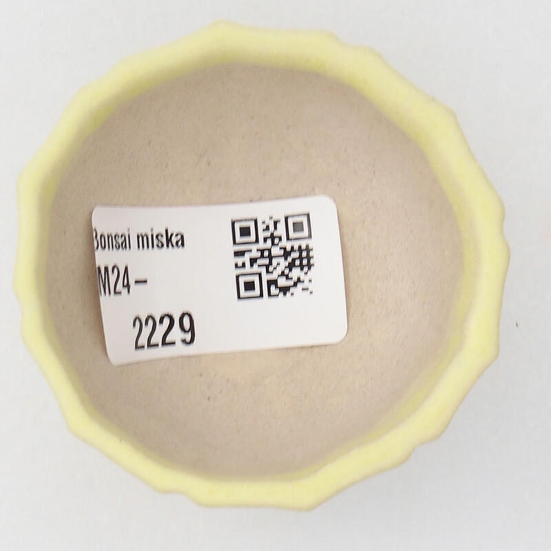 Mini-Bonsaischale 5 x 5 x 3 cm, gelb