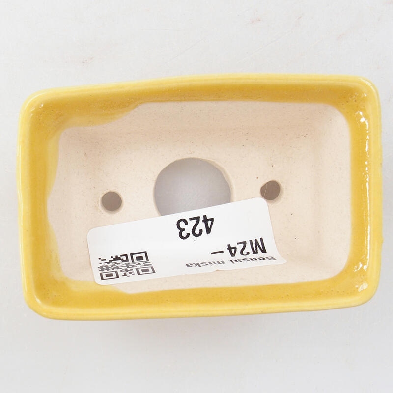 Mini-Bonsaischale 6,5 x 4 x 2,5 cm, gelb