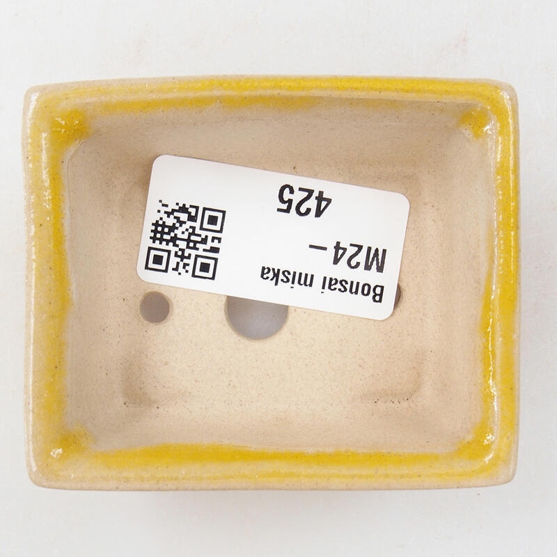 Mini-Bonsaischale 6,5 x 5,5 x 2,5 cm, gelb