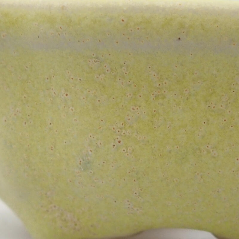 Mini-Bonsaischale 6,5 x 6,5 x 2,5 cm, grün