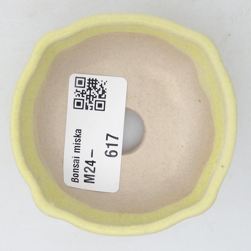 Mini-Bonsaischale 6,5 x 6,5 x 2,5 cm, grün