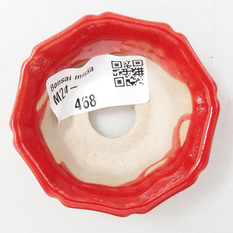 Mini-Bonsaischale 6 x 6 x 2,5 cm, Farbe rot