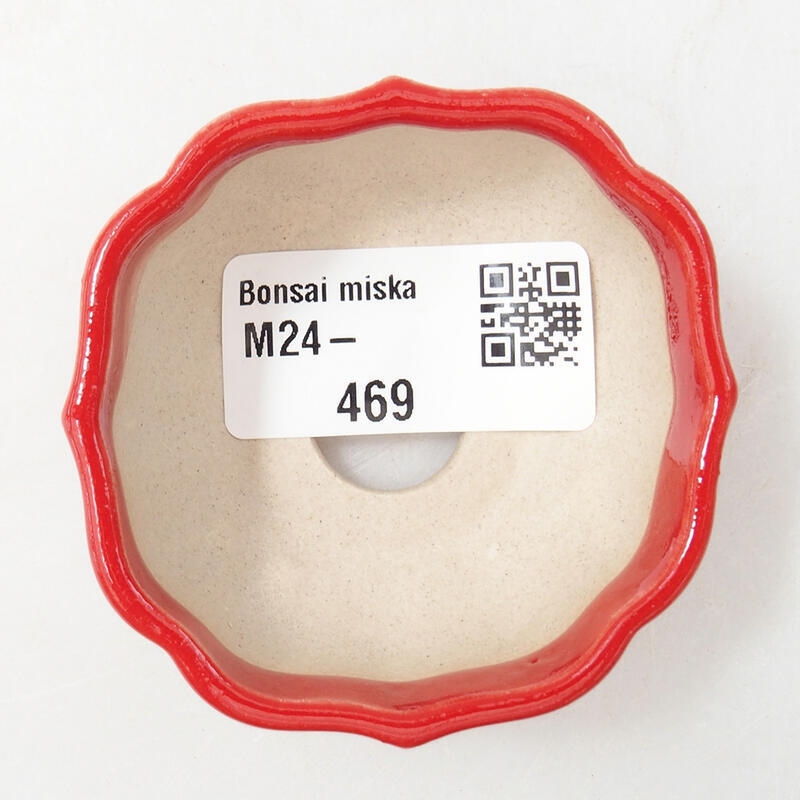 Mini-Bonsaischale 6 x 6 x 3 cm, Farbe rot