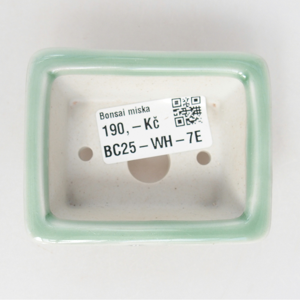Mini-Bonsaischale 8 x 6 x 3 cm, grün