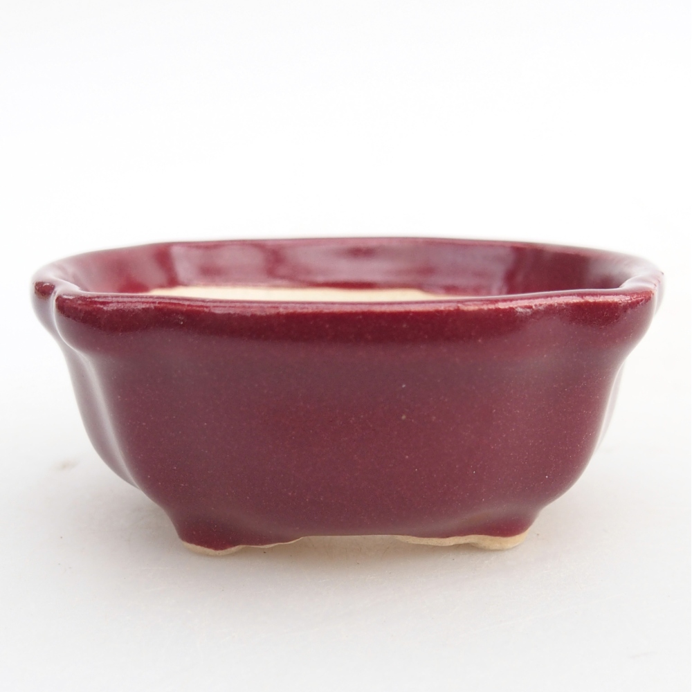 Mini-Bonsaischale 6,5 x 6,5 x 3 cm, bordeauxrot