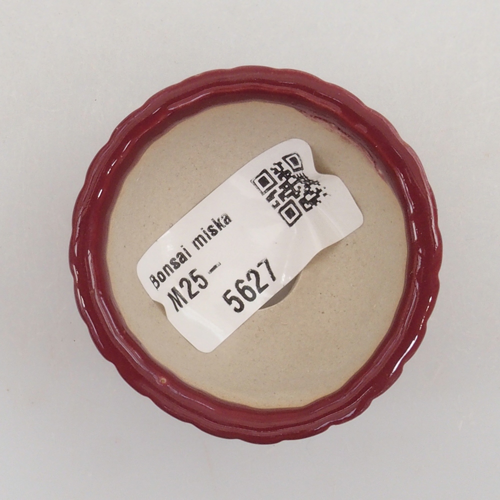 Mini-Bonsaischale 5 x 5 x 2,5 cm, Farbe bordeauxrot