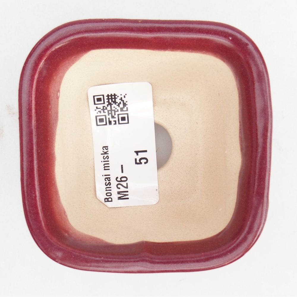 Mini-Bonsaischale 6 x 6 x 4,5 cm, bordeauxrot