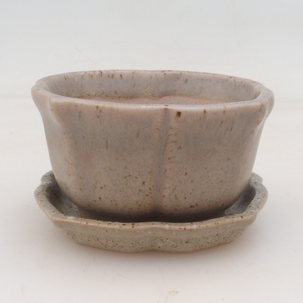 Bonsaischale + Untertasse H95 - beige