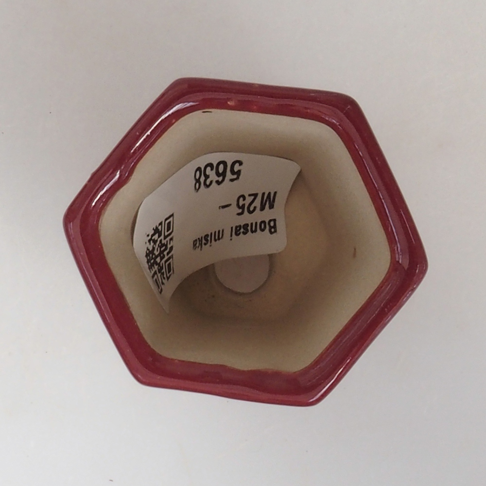 Mini-Bonsaischale 4,5 x 4 x 6 cm, bordeauxrot