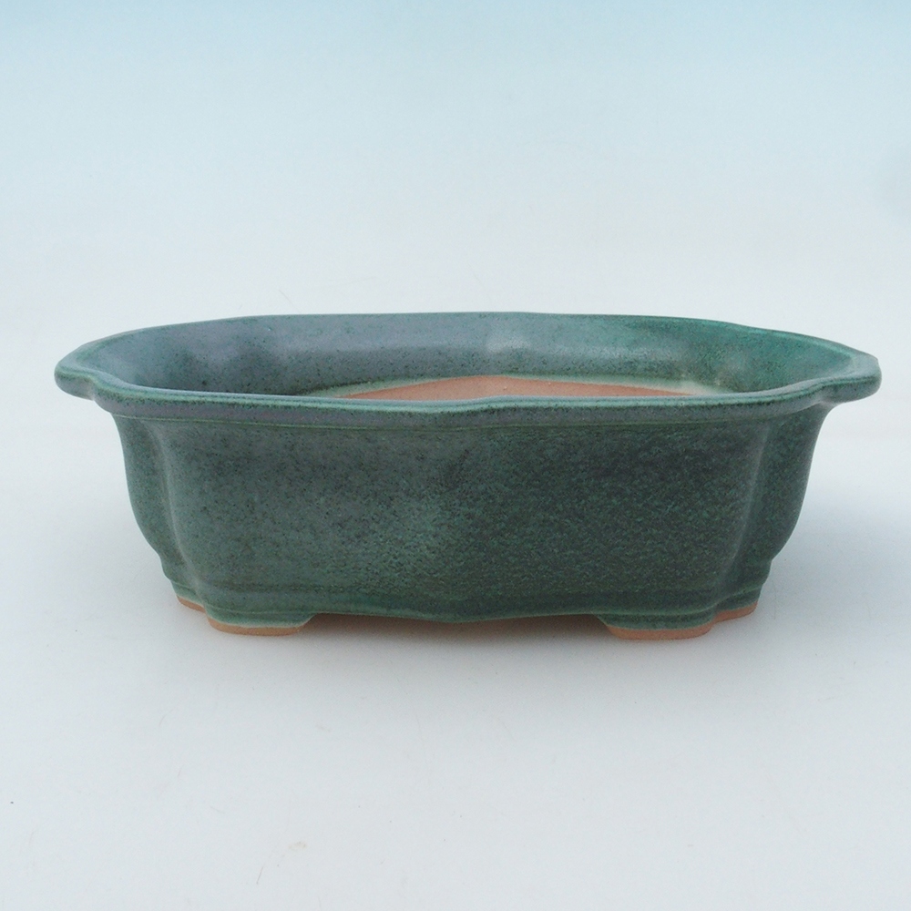 Bonsaischale + Untertasse H51 - 18x14x5 cm - grün