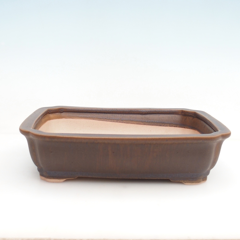 Bonsaischale H07 - 30 x 20,5 x 8 cm.