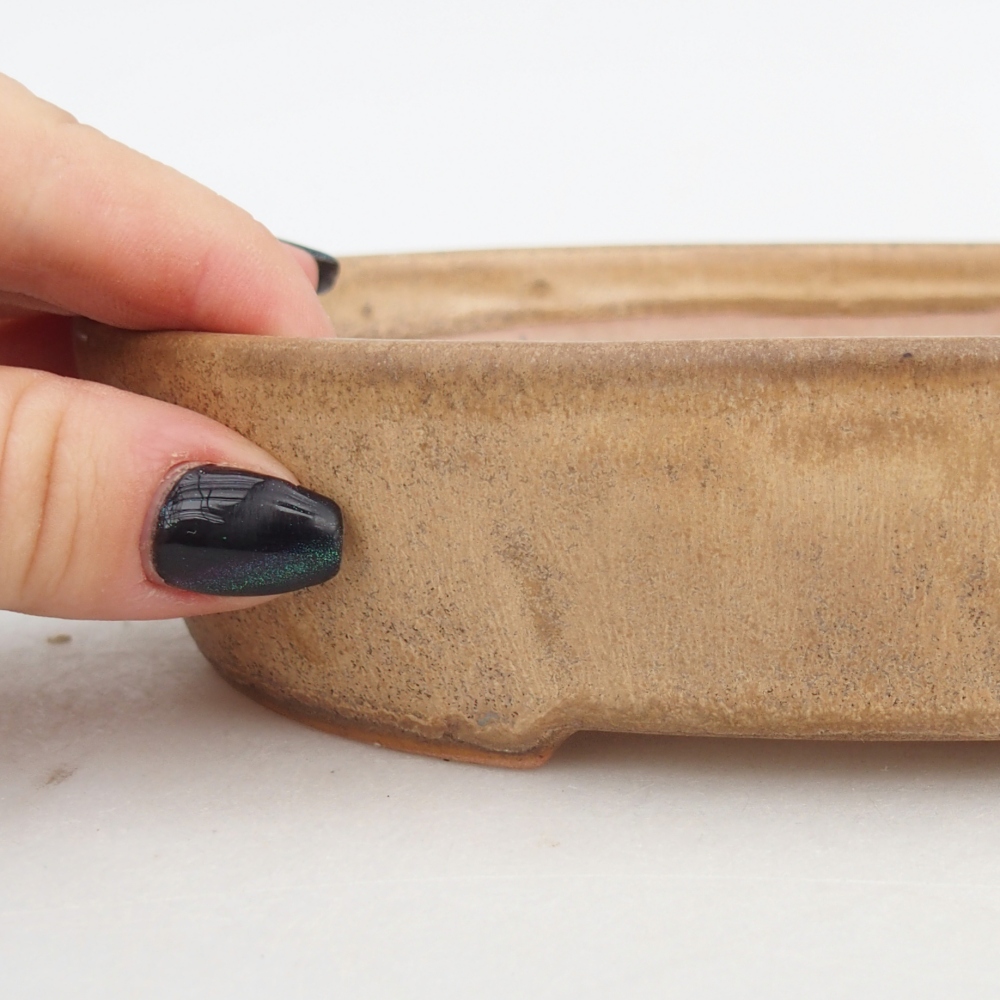 Bonsaischale aus Keramik 17 x 14 x 4 cm, Farbe beige