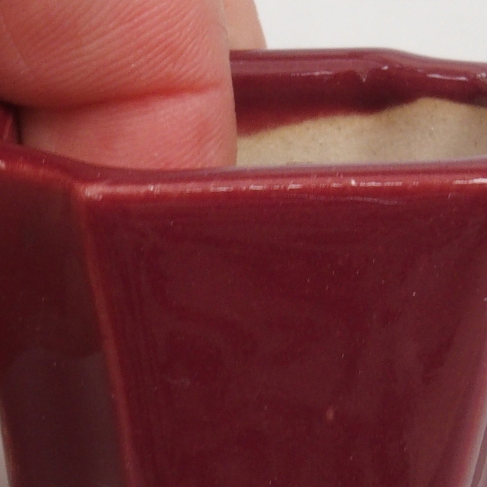 Mini-Bonsaischale 4 x 4 x 4 cm, bordeauxrot