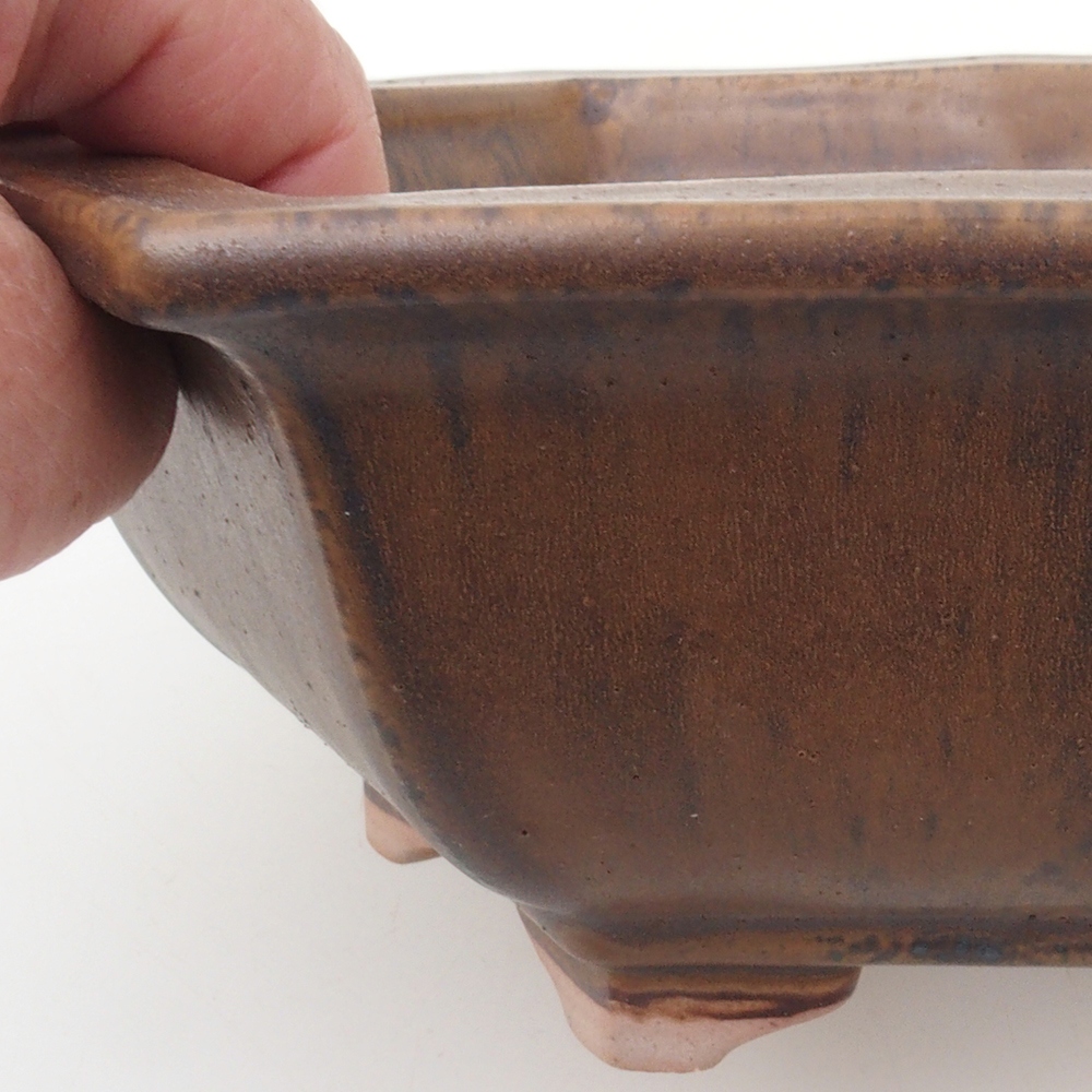 Bonsaischale H53 - 19 x 21,5 x 7 cm - braun