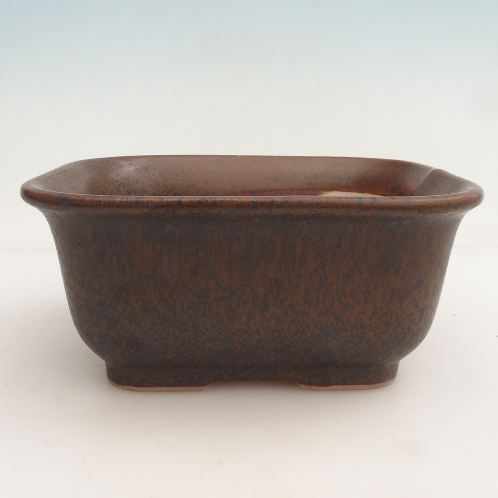 Bonsaischale + Untertasse H36 - 17 x 15 x 7,5 cm - braun