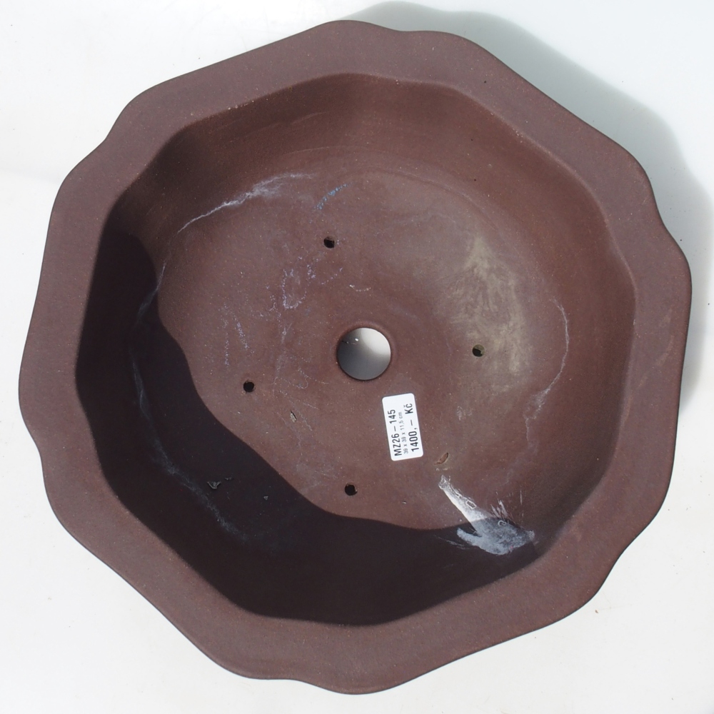 Bonsaischale 39 x 39 x 11,5 cm Birke braun