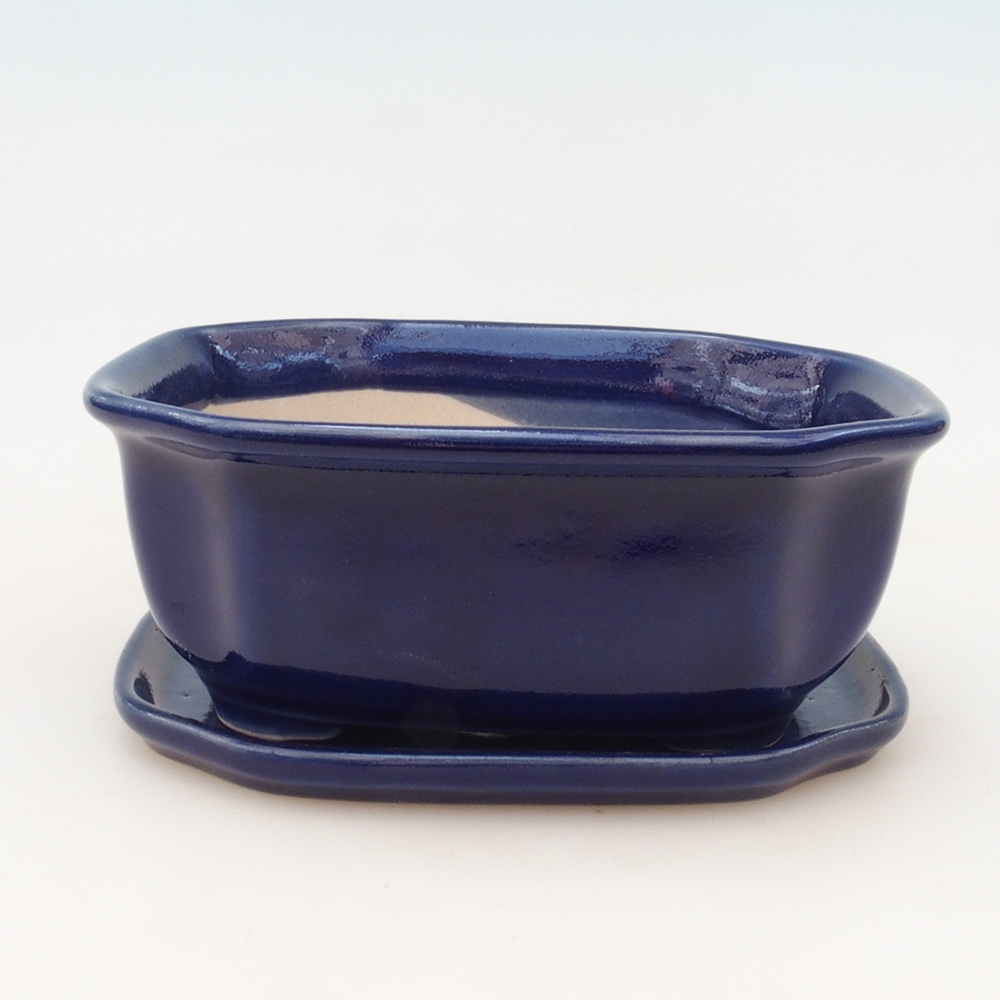 Bonsaischale + Untertasse H31 - blau