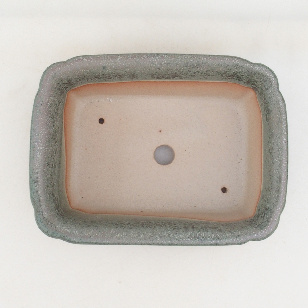 Bonsaischale H50 - 17 x 12,5 x 5,5 cm - grün