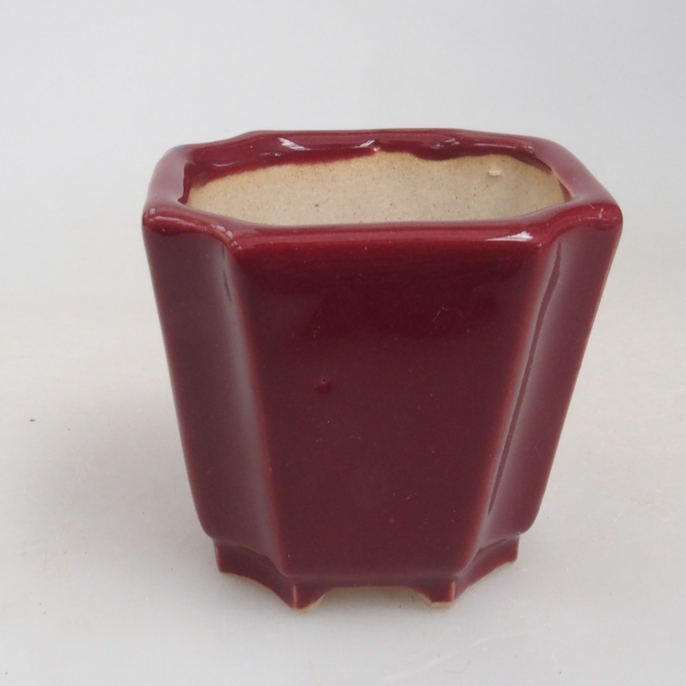 Mini-Bonsaischale 4 x 4 x 4 cm, bordeauxrot