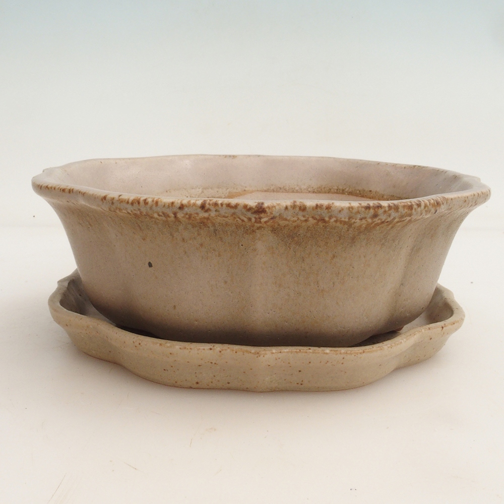 Bonsaischale + Untertasse H06 - 14,5 x 14,5 x 5 cm - beige