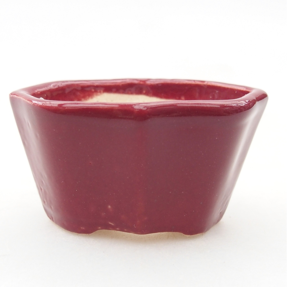 Mini-Bonsaischale 4,5 x 3 x 2,5 cm, bordeauxrot