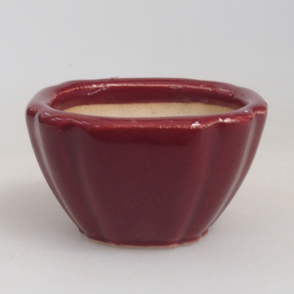 Mini-Bonsaischale 4,5 x 4,5 x 2,5 cm, bordeauxrot