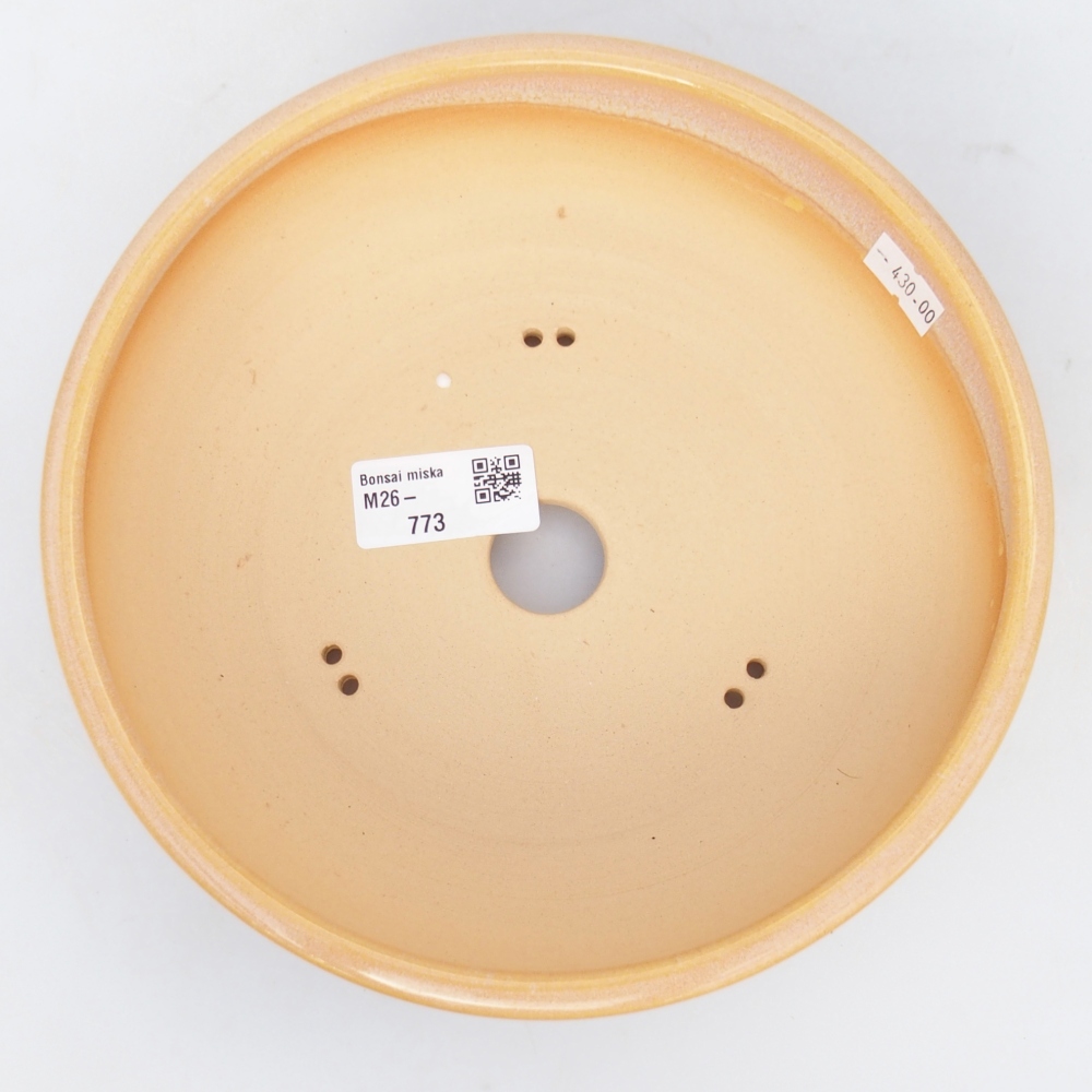 Bonsaischale aus Keramik 19,5 x 19,5 x 6 cm, Farbe braun-gelb