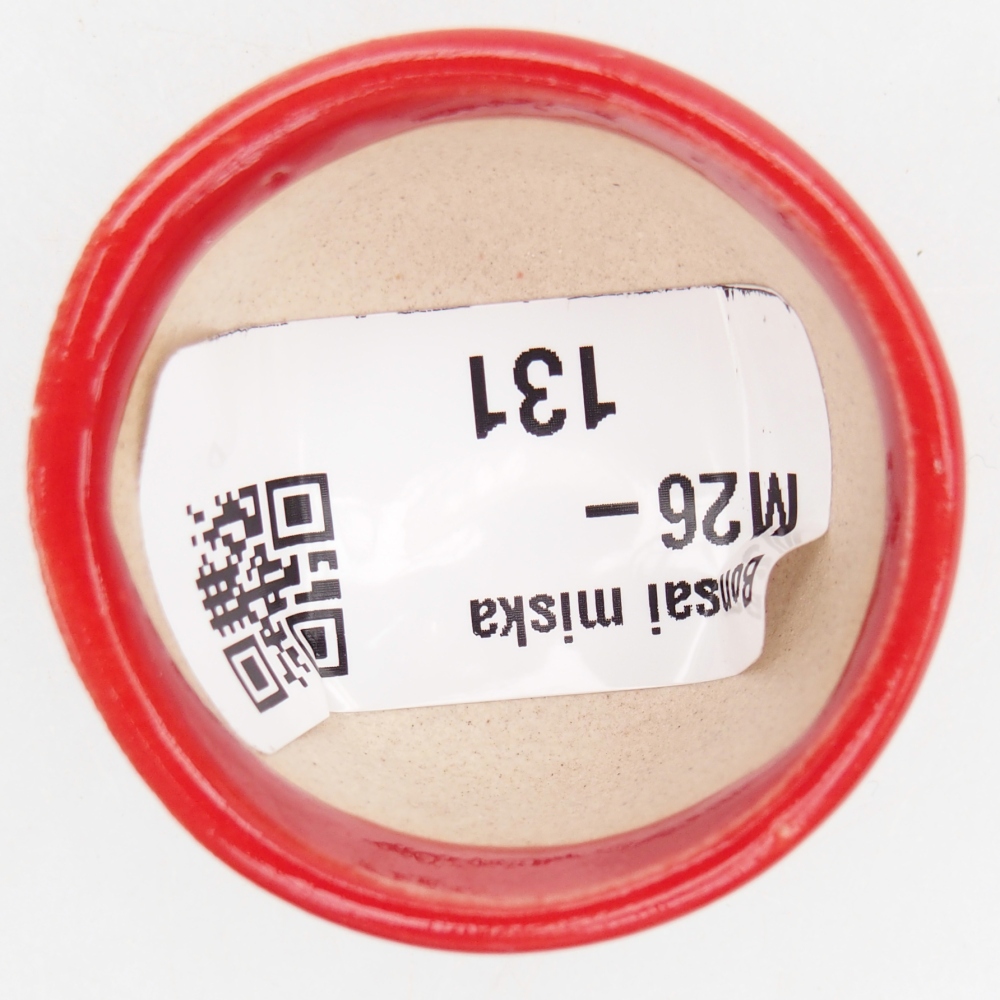 Mini-Bonsaischale 4 x 4 x 2,5 cm, Farbe rot