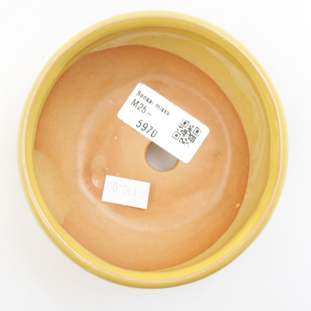 Bonsaischale aus Keramik 15,5 x 12 x 6 cm, Farbe blau