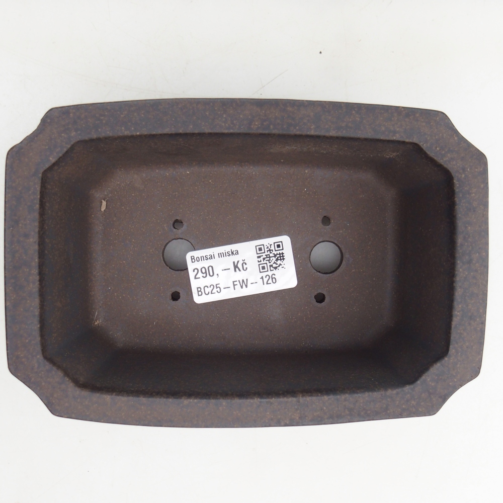 Bonsaischale aus Keramik 15,5 x 10,5 x 6 cm, bräunlich ocker