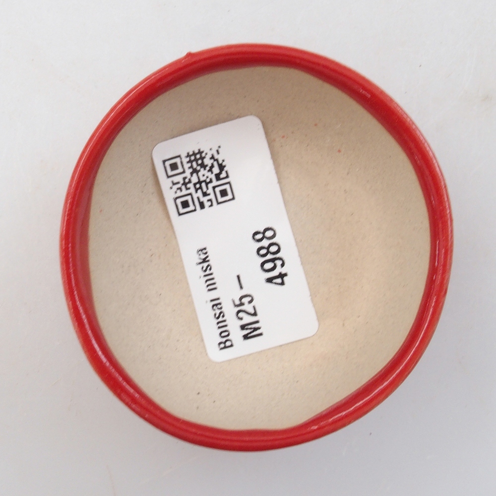 Mini-Bonsaischale 6 x 6 x 2,5 cm, Farbe rot