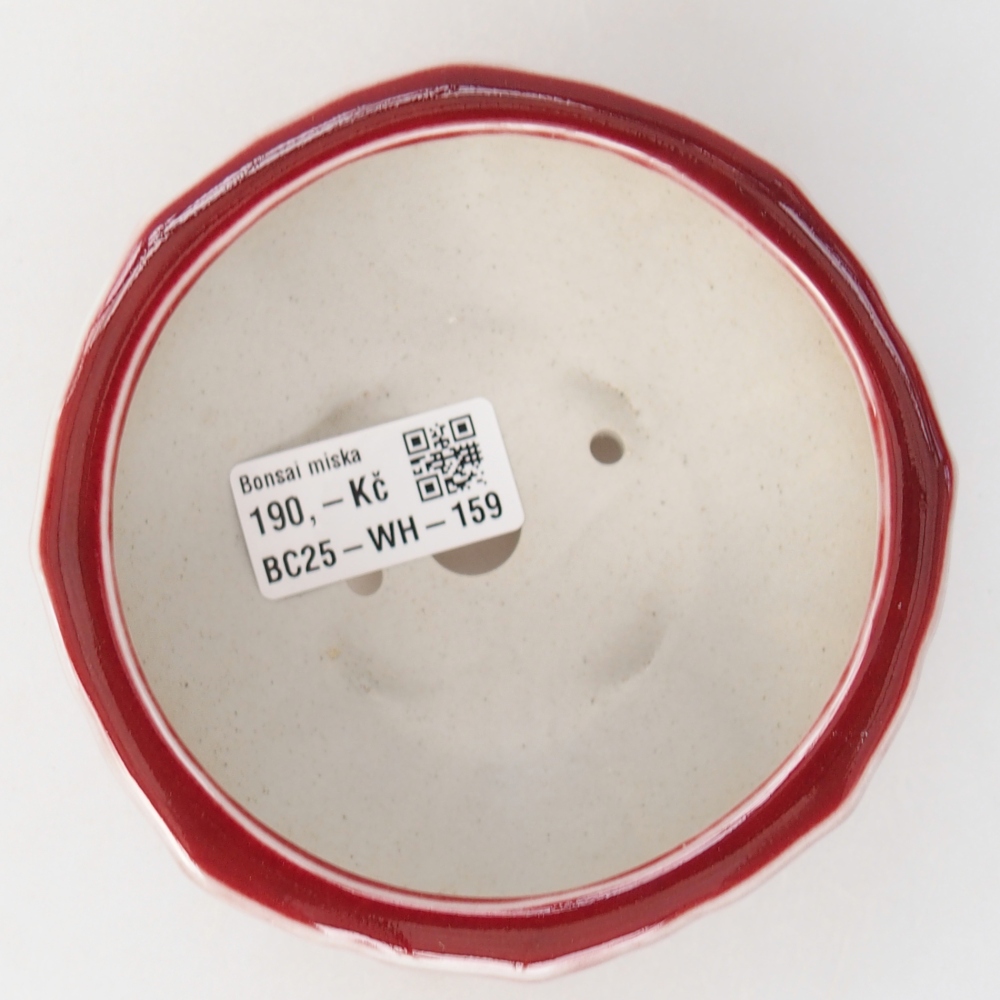 Bonsaischale aus Keramik 11 x 11 x 5,5 cm, Farbe rot